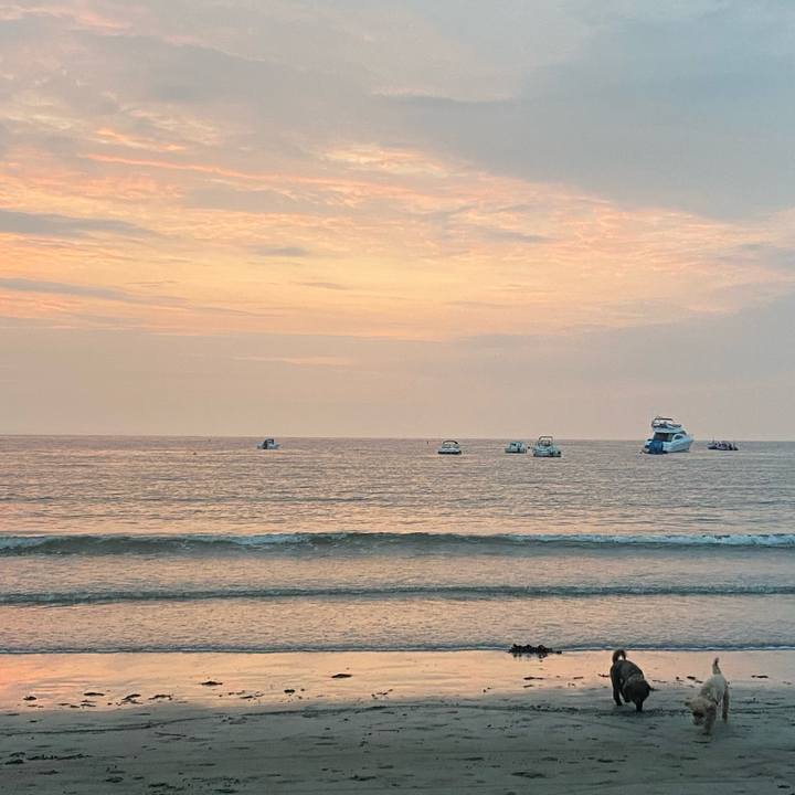 280d28fa 3bb5 4adb ad99 49d88833a36f 1597352029366