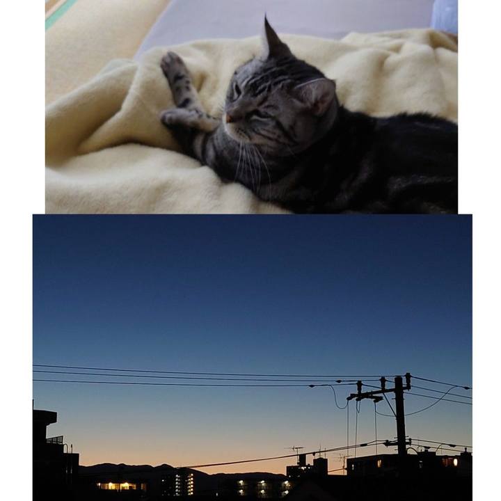 280d5e17 eea7 4e5c b068 48ecf80e6dfa 1635499654131