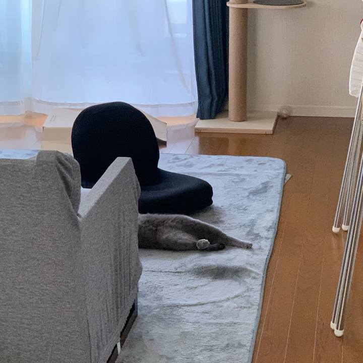 280df7b5 1ad1 47c5 8c72 e55825bece92 1620599338096