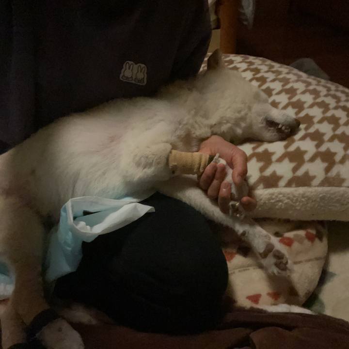 280e19e4 b9d0 464a 848f a102326945b5 1679001981921