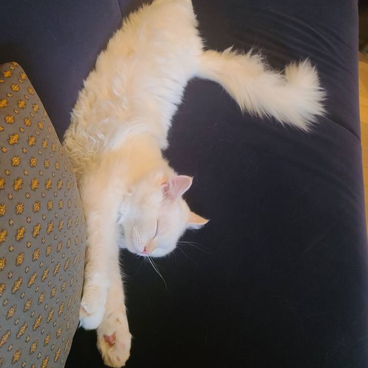 280e3f98 3894 4b99 8780 c0fad5406c81 1663661248030