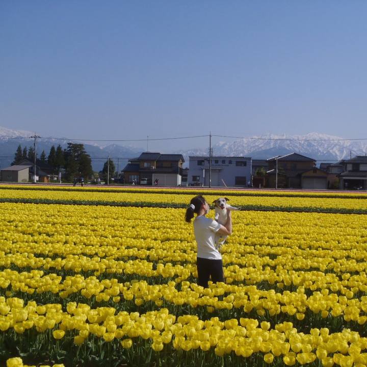 280e6a14 7cbc 4e21 9f9a ede0d915954c 1524303428546