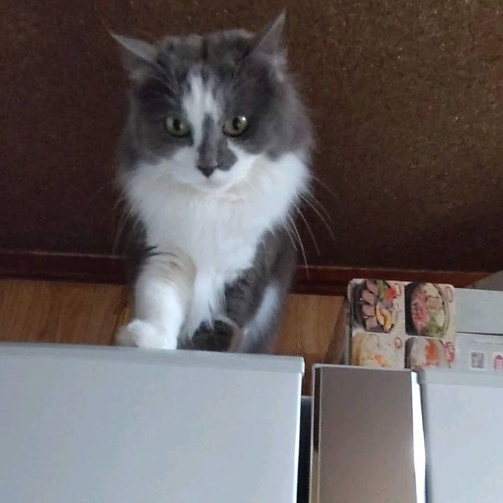 280e764e 643f 4c47 ac2b 3302d7f7dc2a 1675848171795