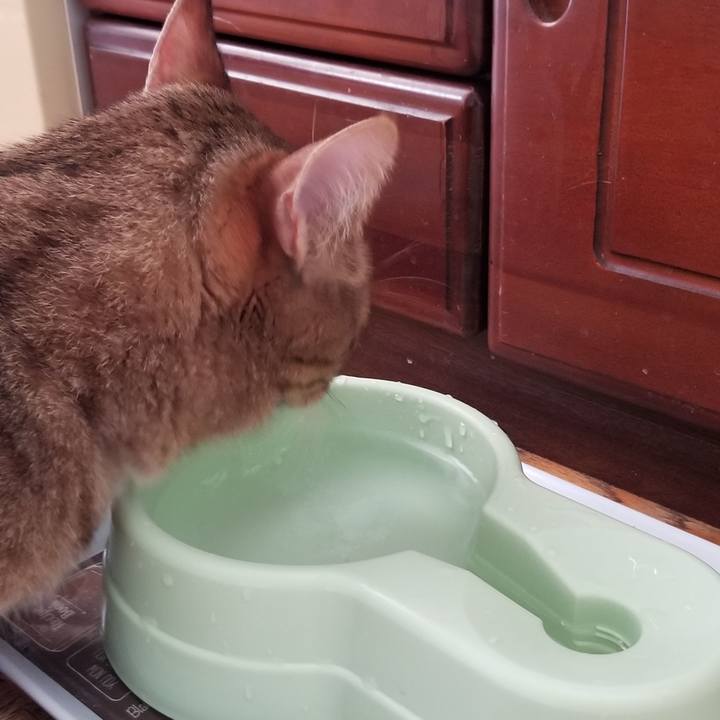 280ea80d e824 4e0e 8557 b2a9ffccb42f 1691973950640