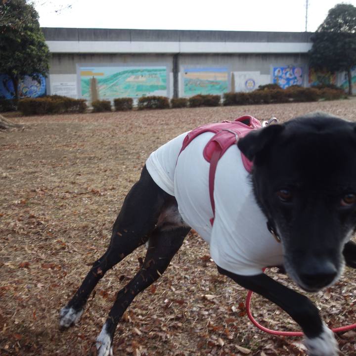 280eb3fd 0e51 49e4 ab77 0514fddfc7f6 1703638246280