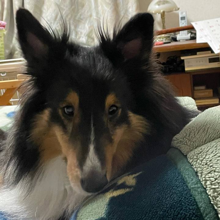 280eee13 d815 494f 91e6 9de58b1a9167 1614390390415