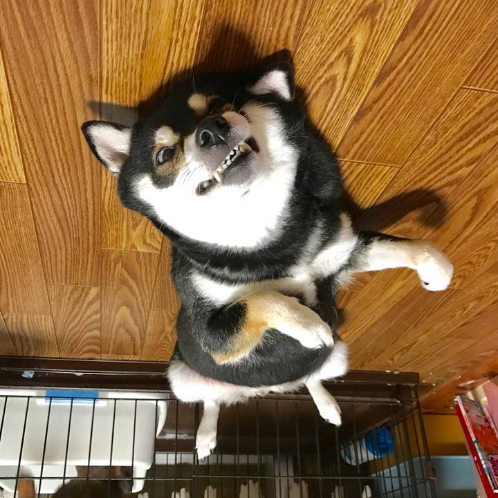 280ef8b1 a6ee 4355 96fa 43b4801cba55 1539060211521