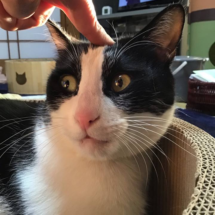 280f1379 001d 4bdd 8019 578c875272cd 1737620938316