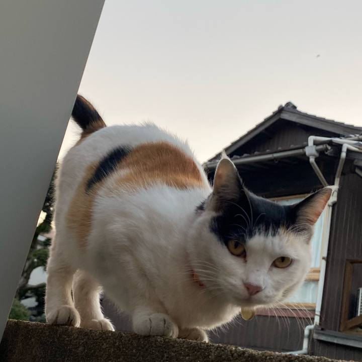 280f13b6 5f8f 4674 99b9 d52704ae5be5 1637414168708