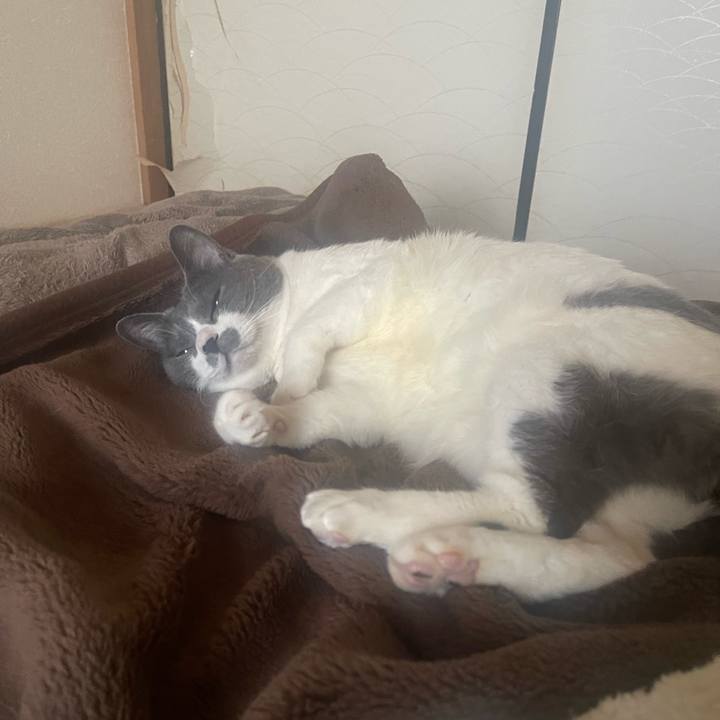 280f1c68 ccb3 462c abff 1d753b9cb861 1714515738018