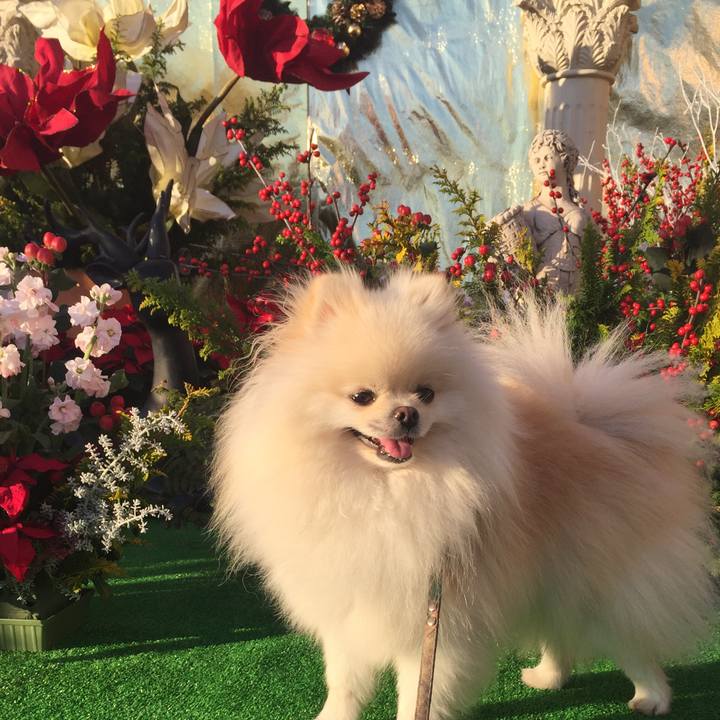 280f3193 b182 480a ad48 874e55c01679 1545031116242