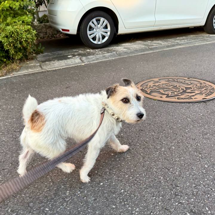 280f55d8 c663 4d5c 9608 fd4c000f992b 1762965128251