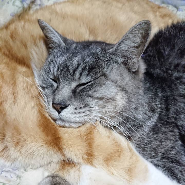 280f87b3 4c05 489d 9751 68d358d96b19 1579092180956