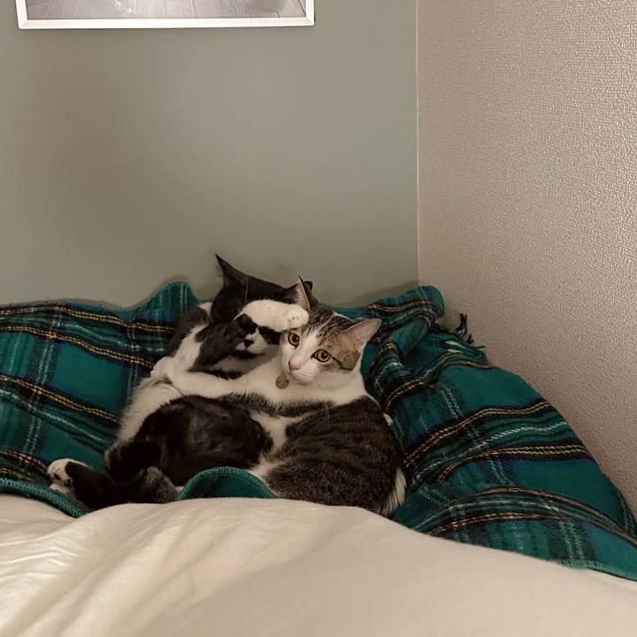 280fbf86 0580 4cf4 9b39 253040d7d2b7 1772811935901