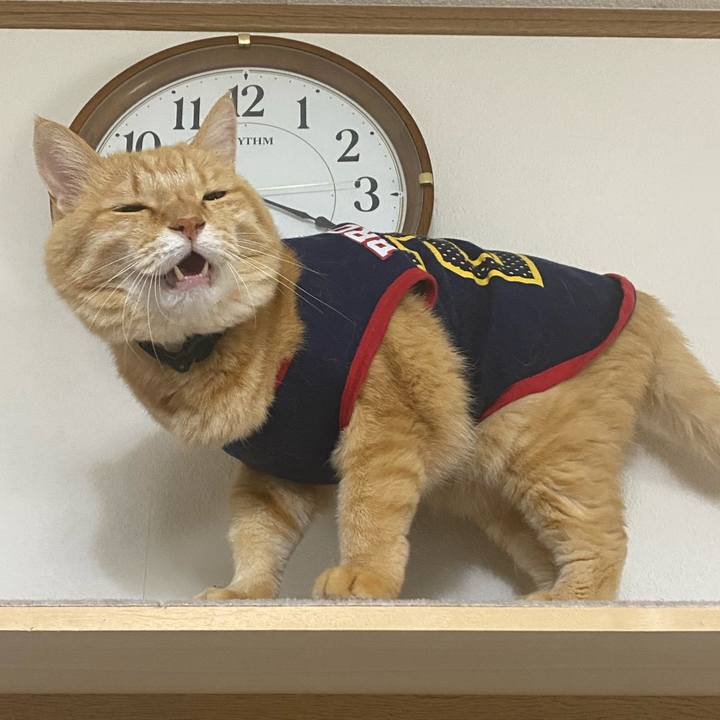 280fe157 c46a 493a a2d4 654882dffcb1 1760178561450