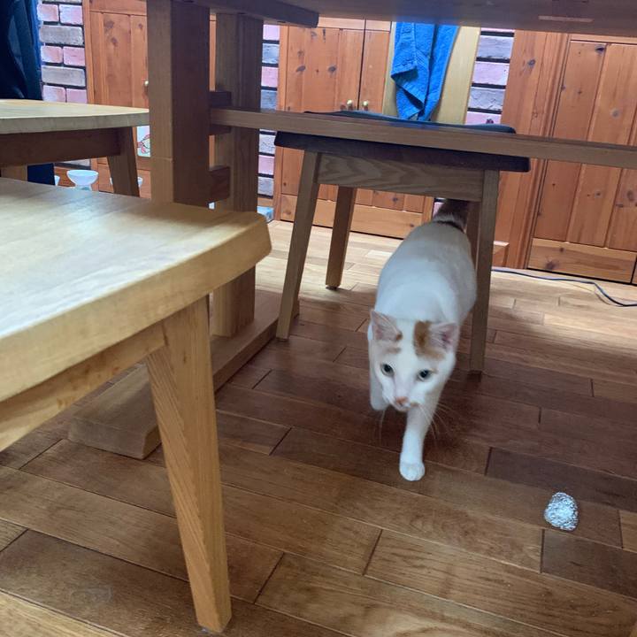 280ff27e 1072 4b36 a40e 5f4592589c82 1621064070802