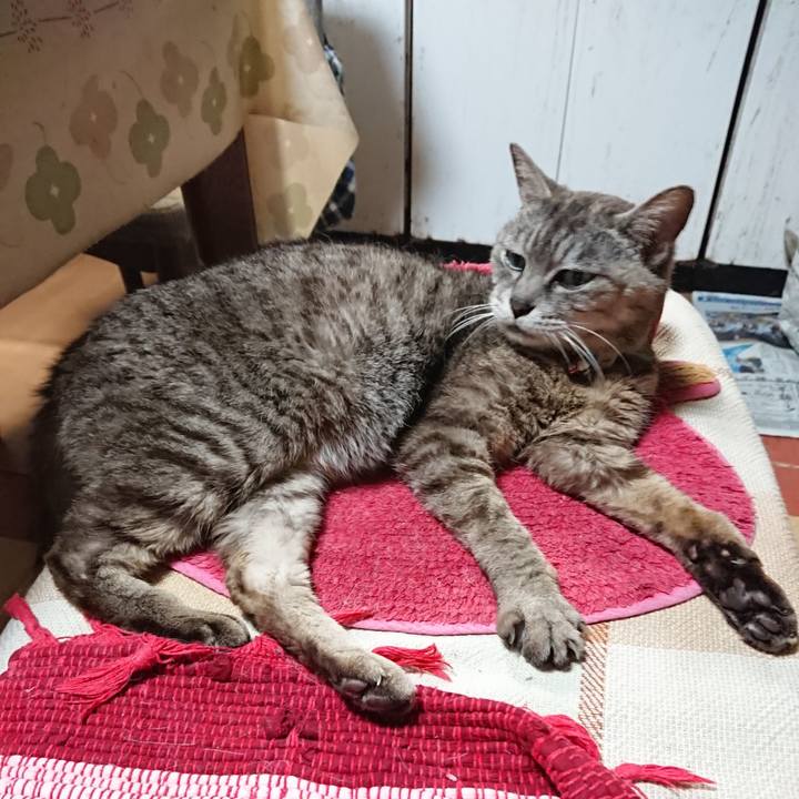 281005c9 847a 46f3 96f7 c09be26ec8f1 1564829646874