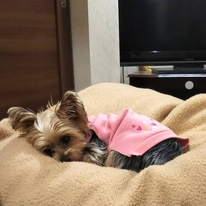 28102a62 7b7d 49ab aeb0 88e7c0fd1d21 1611323773813