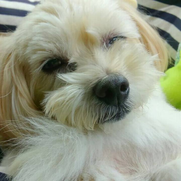 281037fc a7ac 4d4d a04e f8944a84b7a1 1568635039928