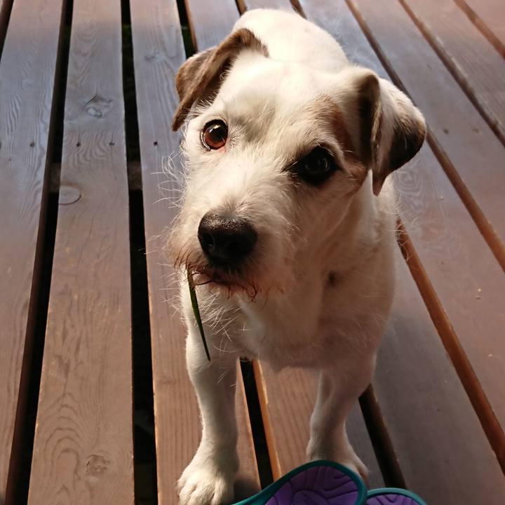 28105d76 1934 4bae 992d f7a190a6bc55 1588807466306