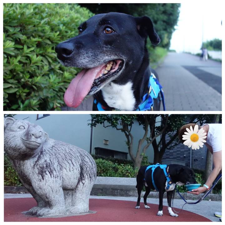 2810829e 46e3 4ca9 9e26 53fd65814d30 1688641481907