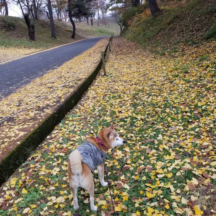 281085ad a6bc 42fa 8293 ca5bde133240 1732248334838