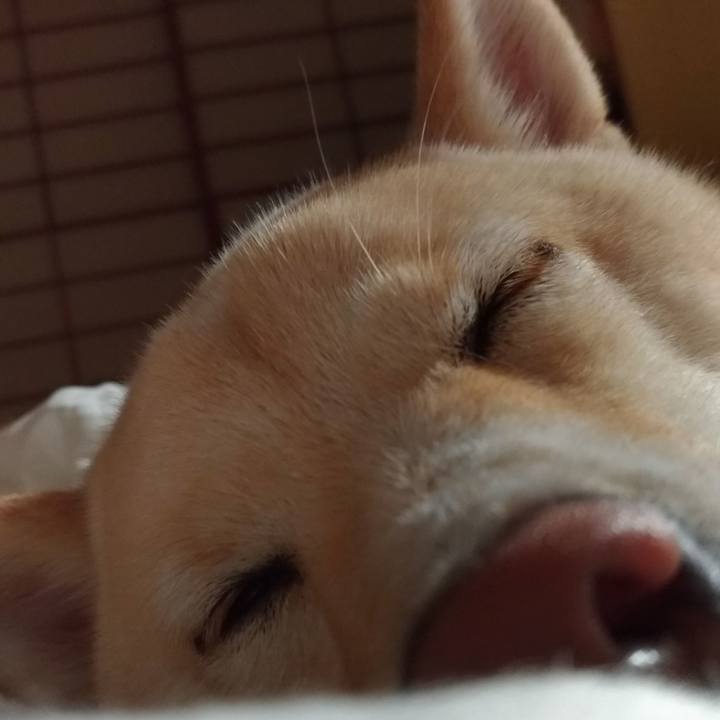 28108baf e25d 4e73 9a2e 0440374de619 1536583479753