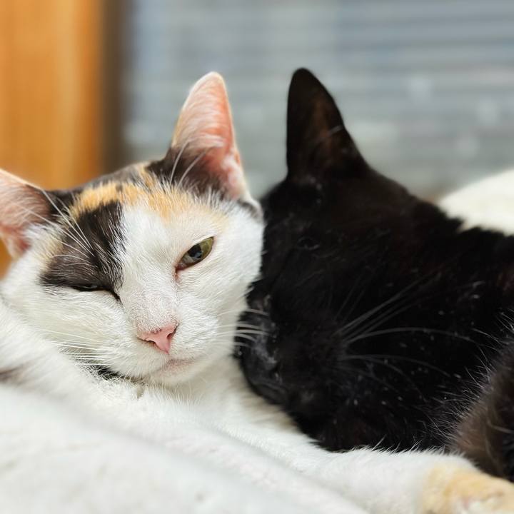 2810b461 4964 4248 a51c bfef7a7a61bb 1695174788220