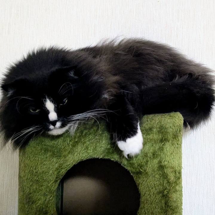 2810d802 5f2e 43da a5eb fe57fb7341d3 1732054201992