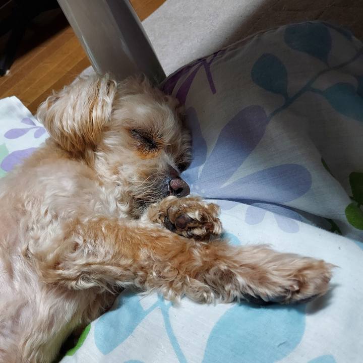 2810ea60 4938 4837 82ff fd4754b592f0 1746884994534