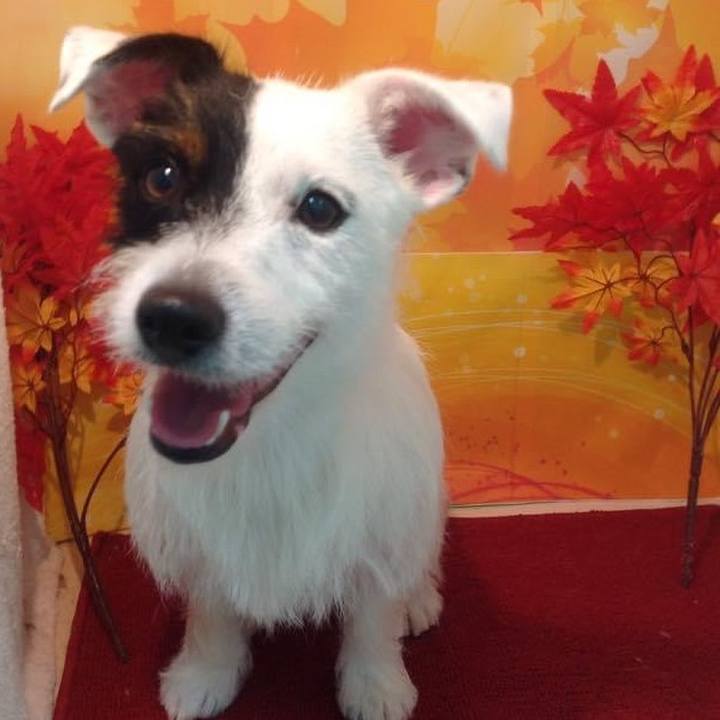 28113b8b ba32 447a 9c1b ed7c374c8194 1631527468536