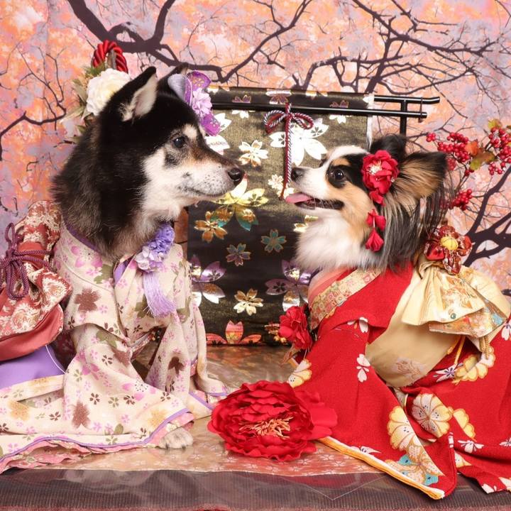 28116827 44af 47b4 ade0 e7e890ec11b0 1704875156205