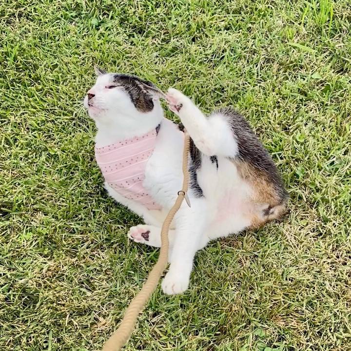 281199ba 5c06 495d a470 eea0eb9c8d62 1603894651218