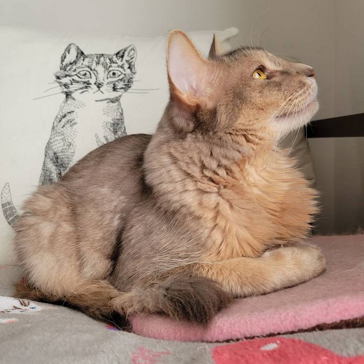 2811a939 5f4b 415d a1aa 557a999716bb 1641697437730