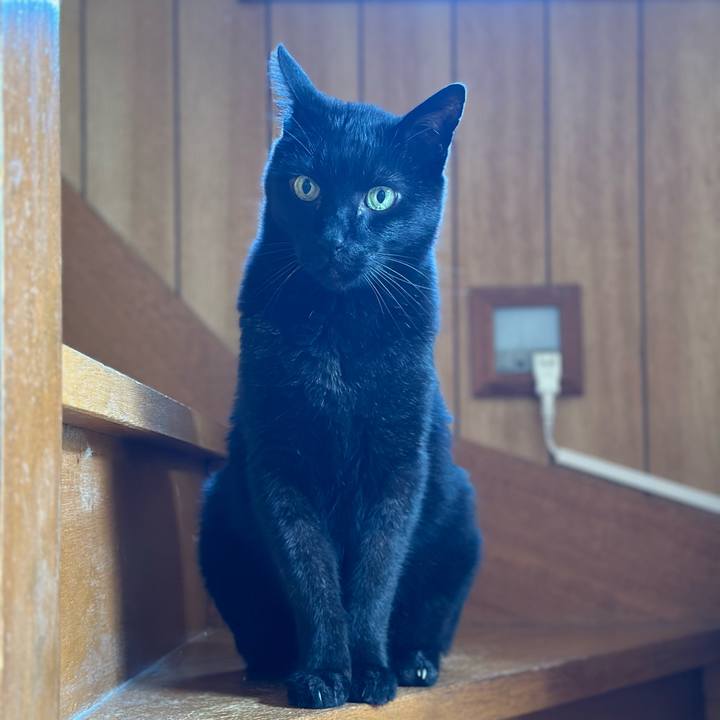 2811b7fd 94e1 4dfd 861e c9a0e9432b27 1682041260562