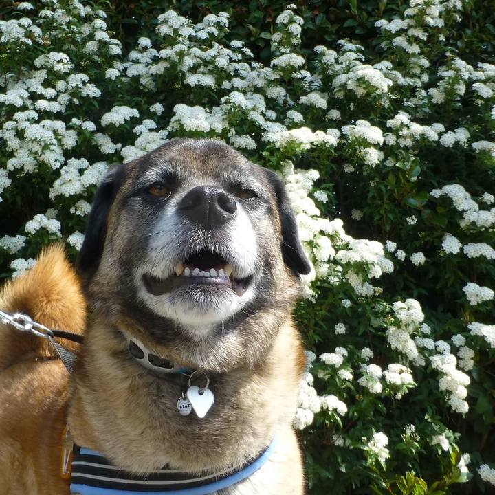 2811c8ca 72d8 47e6 9e45 a4da9a43fa12 1579687664722