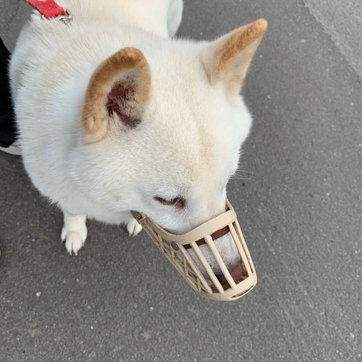 2811d3e8 efde 42c7 a0a6 a6dc399622bd 1595626293037