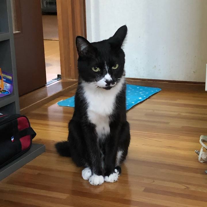 2811ee62 9d21 4824 8958 fc18b8ff55cd 1565846498399