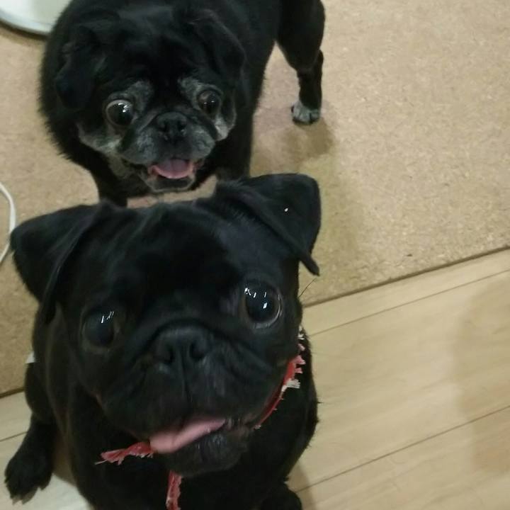 2812309e 2465 4c1f abe1 0a2092b2a35e 1537273396642