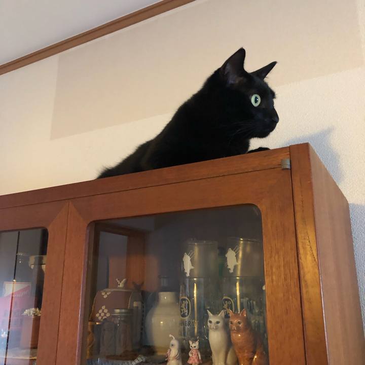 28123d4a d7dd 4505 9f0d 091d8d66bb2f 1555029251179