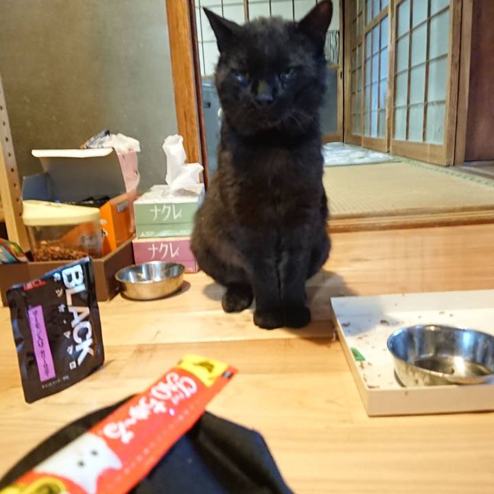 281249dd a506 40b3 abcb 1746b38ef042 1623320339597