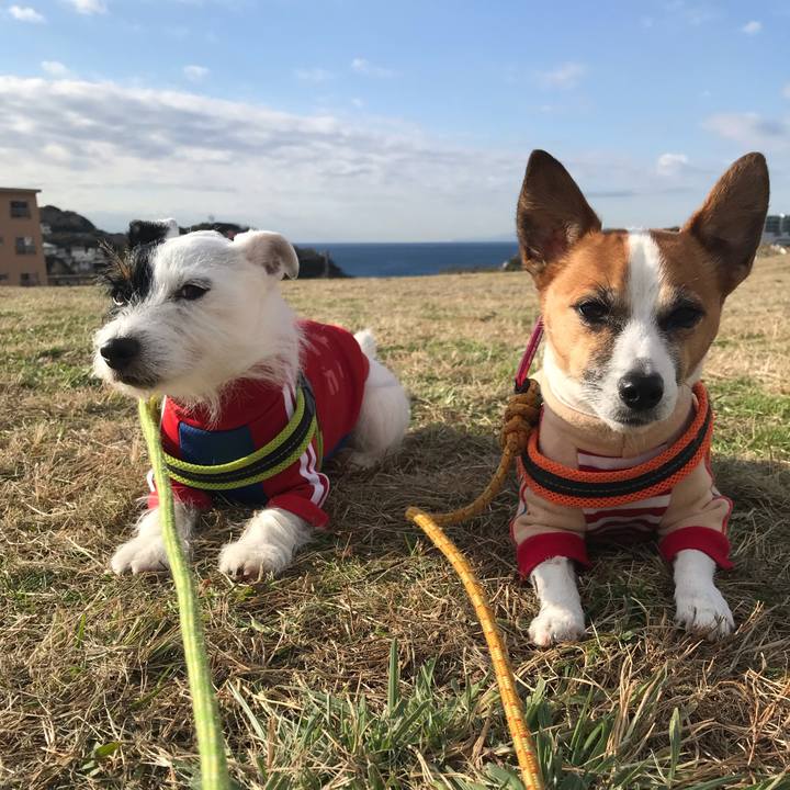 2812661e 17f0 4f4f a14a df50a0e30ba2 1544661525509