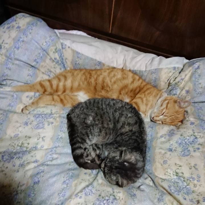 281281f2 b256 4b6b 81bf 0e8bdc75bbe8 1583325983442