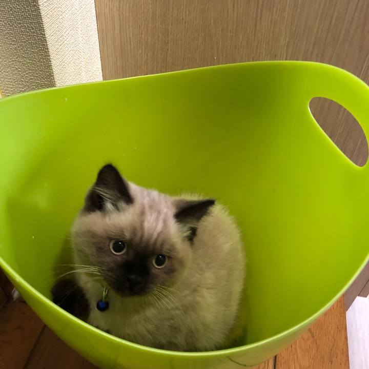 2812a26f c760 4b0a 8573 2985bb33eb6e 1587252829704