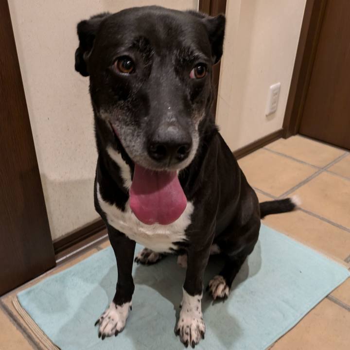 2812acbc 584e 4e8c bc77 fff2a969233f 1722336760597