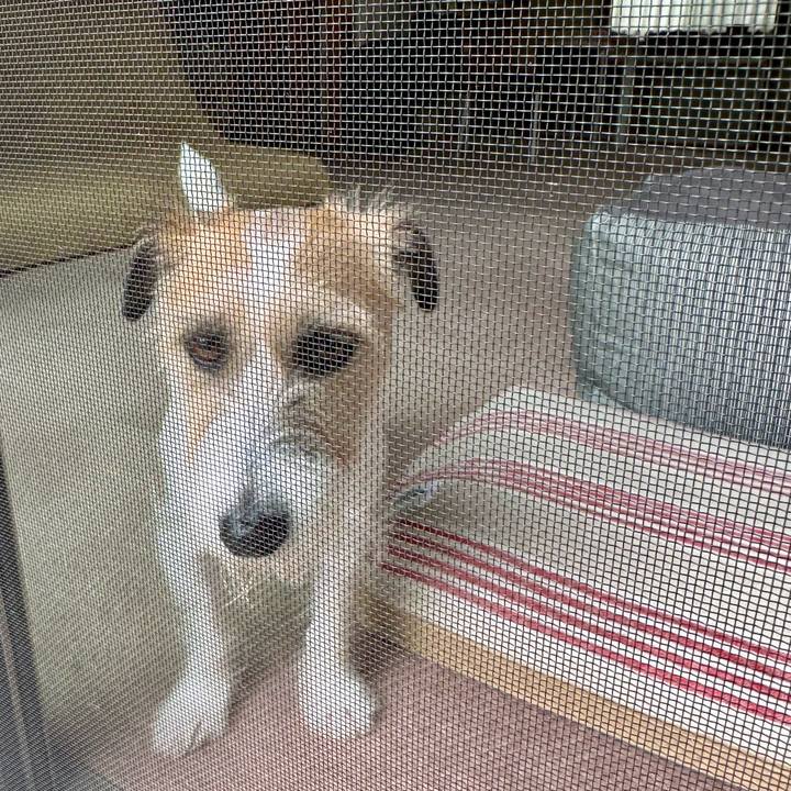 2812dc22 5421 42fe 8ed8 4d44a2ddc948 1717991142560