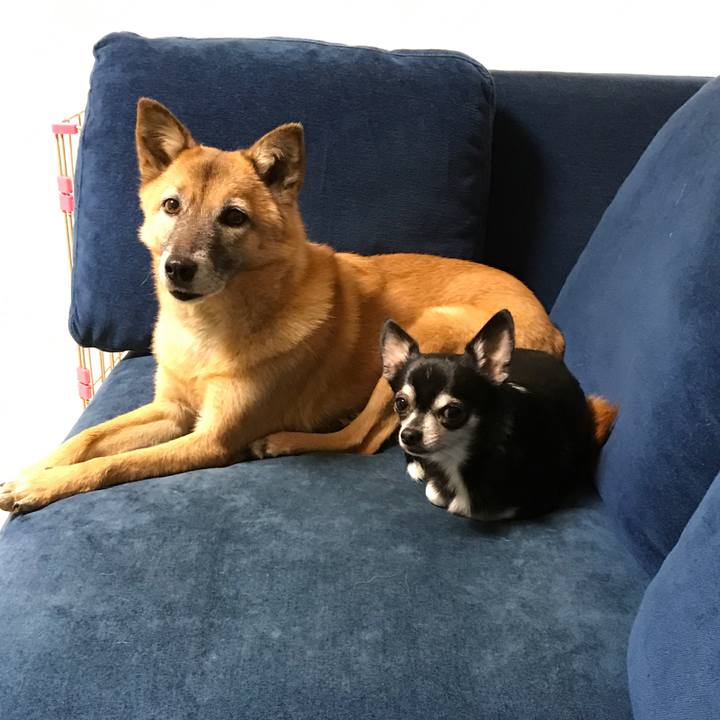 2812de69 23fe 4ec9 9777 7e28560fd7b9 1512208407966