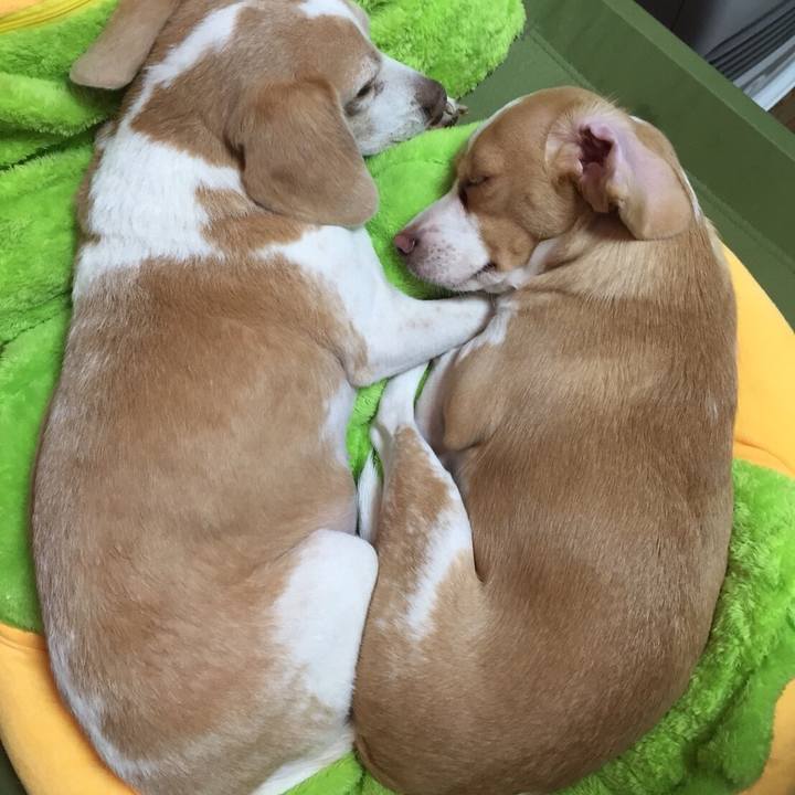 281325c5 9a91 4c5a bd5d afce2dc97e53 1514616161956