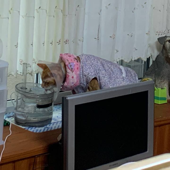 281339c5 7ae4 4c34 b70b 19dc891be5a8 1620990377034