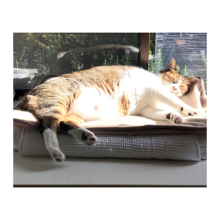 2813525c e228 401b 8bf7 ed453ef08ca2 1649226302054